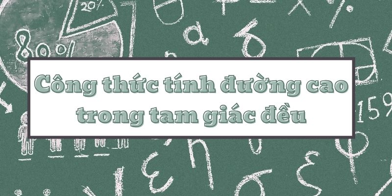 Học công thức tính đường cao trong tam giác đều và các tính chất quan trọng cần nhớ